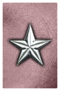 DF35T 430 SL OR Star Silver Orchid